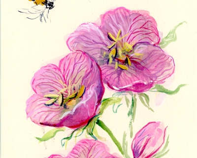 GillianBS-MallowwithWasp